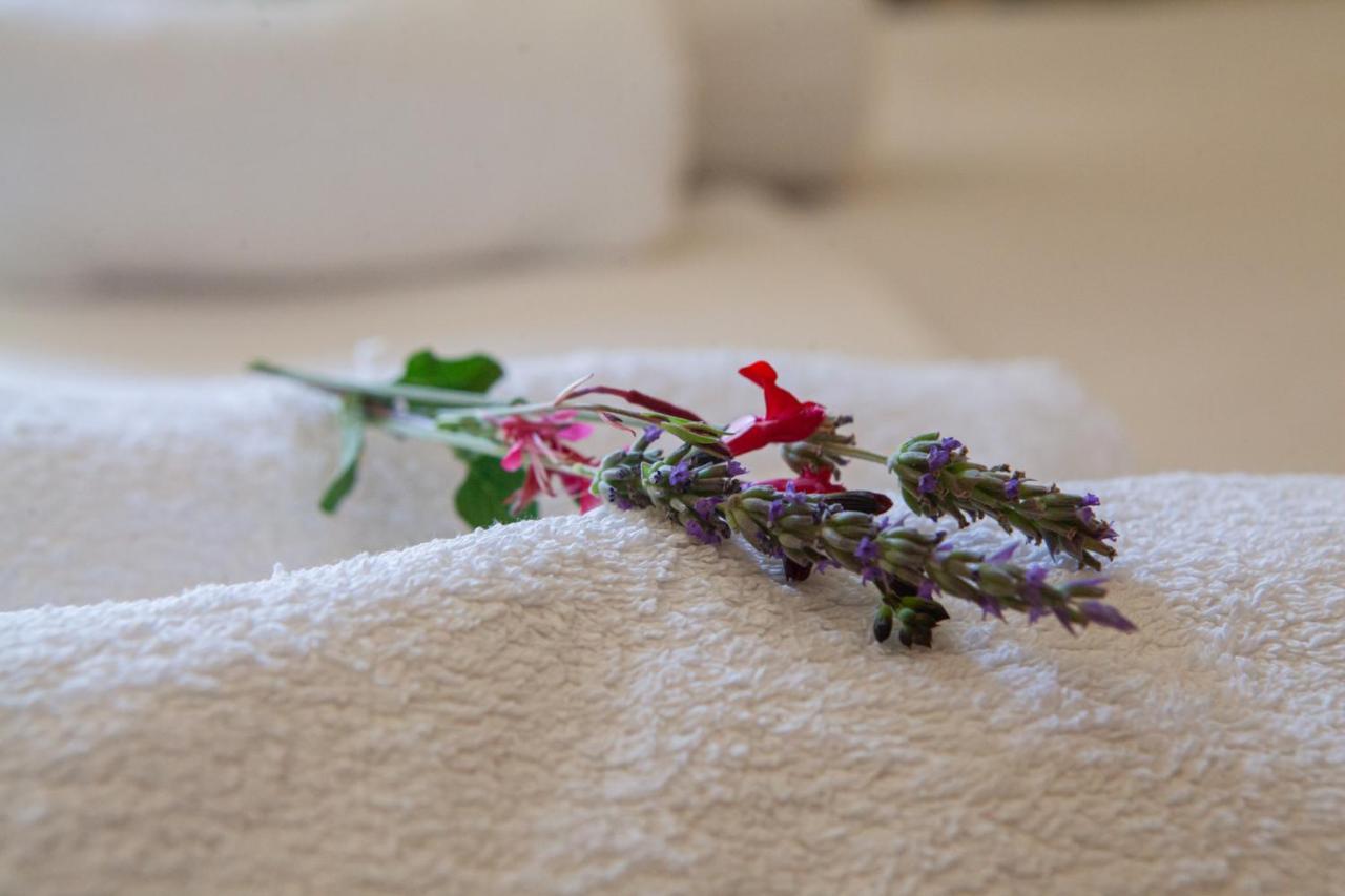 Hotel Loula Rooms And Apartments Kamena Vourla Bagian luar foto